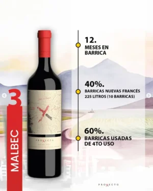 Proyecto X Malbec