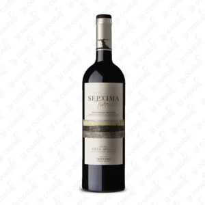 Séptima Tierra Gualtallary Malbec
