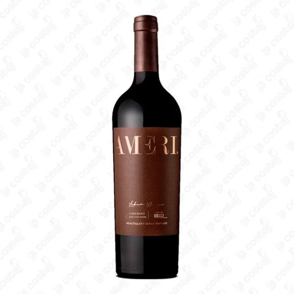 Ameri Cabernet Sauvignon Orgánico Single Vineyard Domaine Bousquet