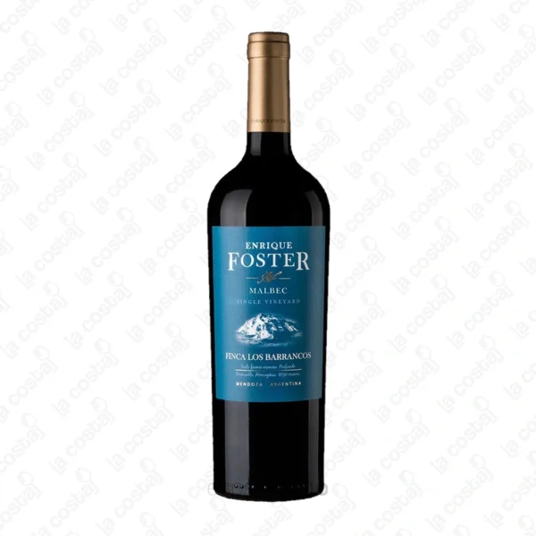 Enrique Foster Single Vineyard Los Barrancos Malbec
