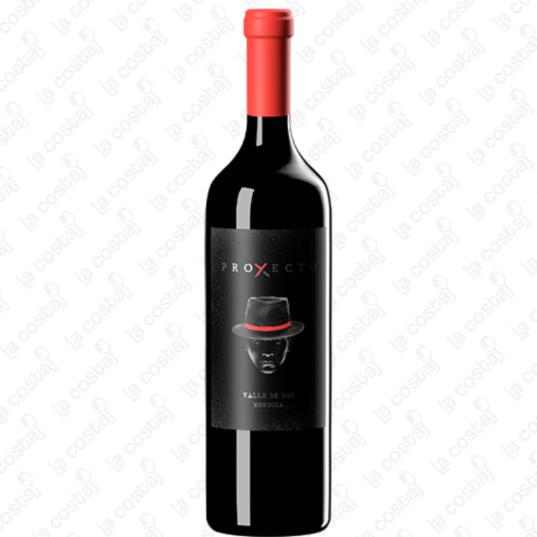 PROYECTO X MALBEC 2019