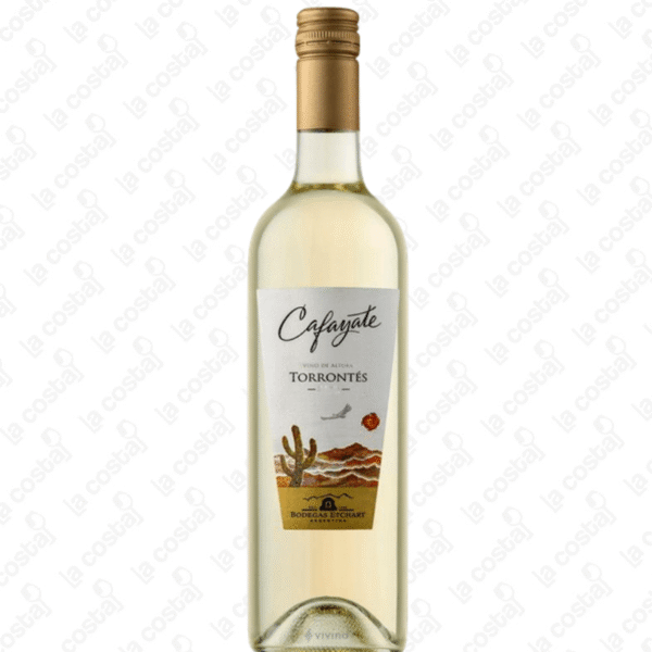 ECHART CAFAYATE TORRENTES ETCHART CAFAYATE TORRONTES