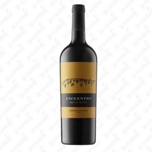 RUTINI ENCUENTRO CABERNET SAUVIGNON