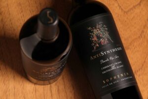 SOPHENIA ANTISYNTHESIS CABERNET FRANC OF SAUVIGNON BLANC